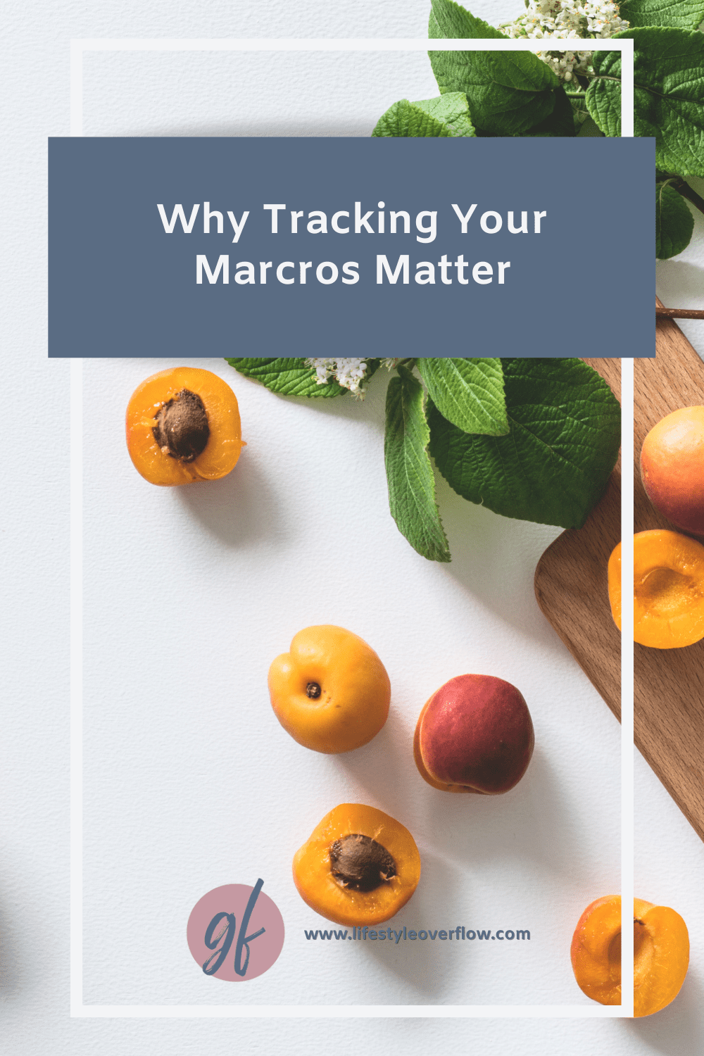 why tracking your macros matter by Gina Forcatto | www.lifestyleoverflow.com